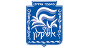 מועצה איזורית 