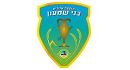 מועצה איזורית 