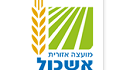 מועצה איזורית 